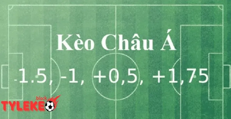 Tylekeo | Tỷ lệ kèo Kèo châu Á: Lựa chọn phổ biến nhất