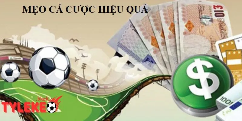 Mẹo cá cược hiệu quả